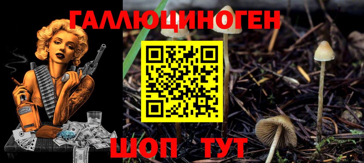 Псилоцибиновые грибы мицелий Екатеринбург
