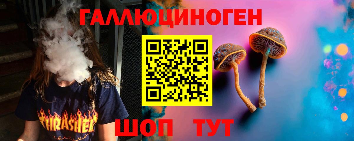 купить наркотик  Вход с VPN  Екатеринбург  Псилоцибиновые грибы мицелий 
